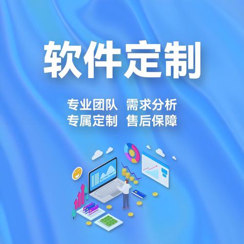 软件定制开发：企业信息化转型的关键推手